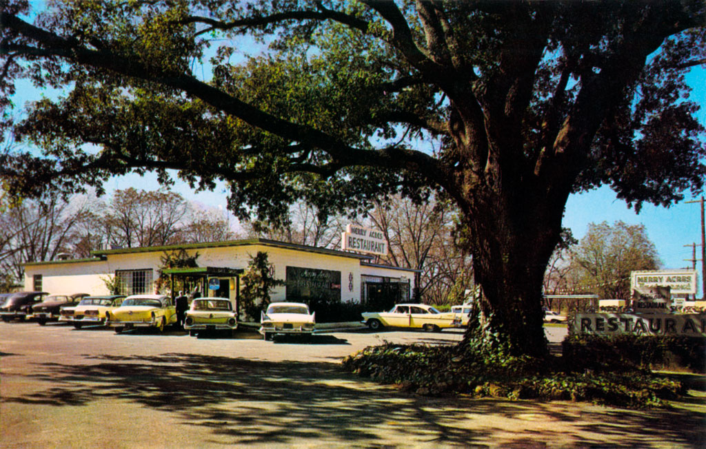 1958 Plymouth Savoy & 1959 Plymouth Sport Coupe at the Merry Acres Restaurant in Albany, Georgia